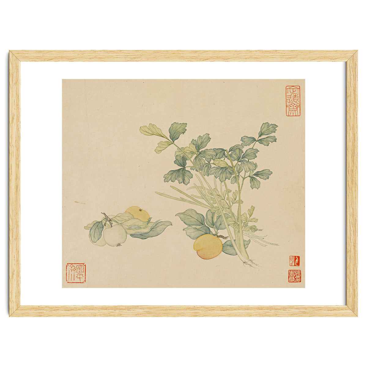 Wang Chengyu~flowers And Vegetables, Vegetables, Fruits, Plums, Apricots, Celery