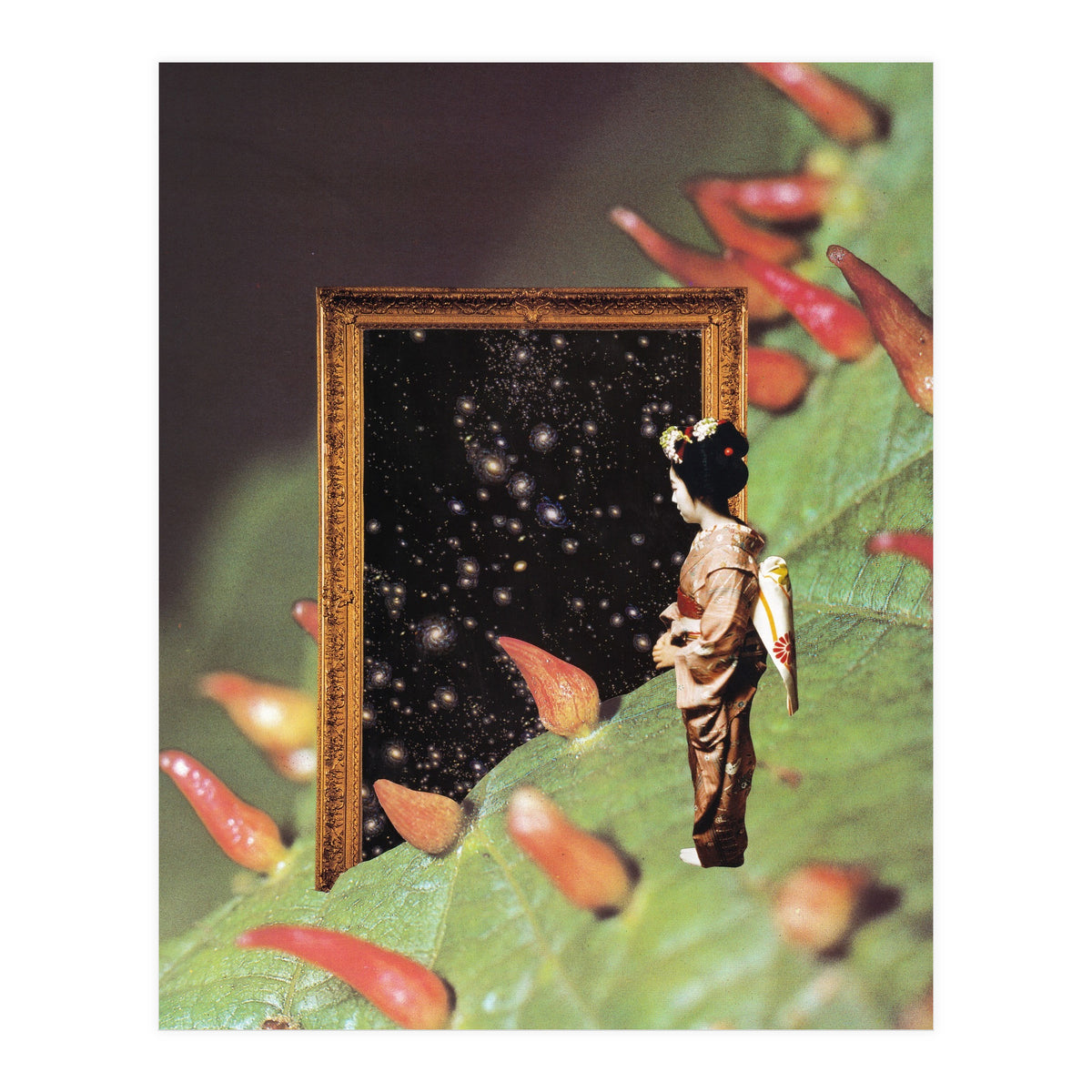 Cosmology (Print Only)