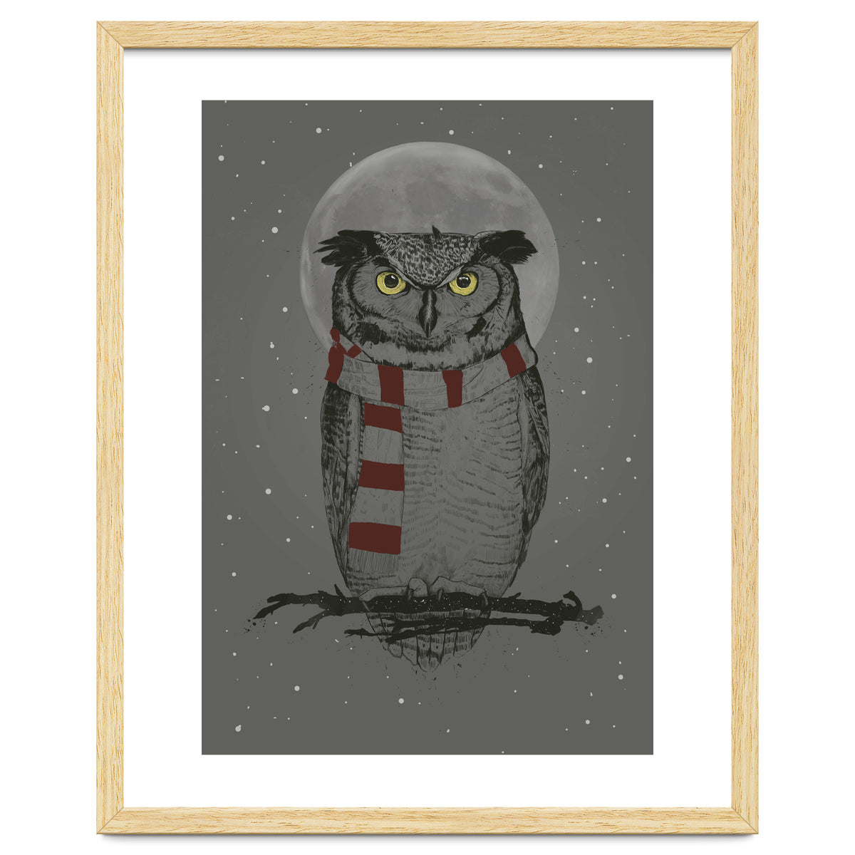 Winter Owl