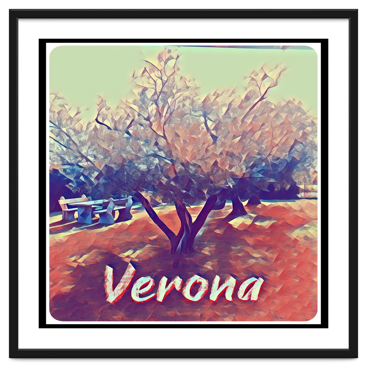 Olive Tree In Verona