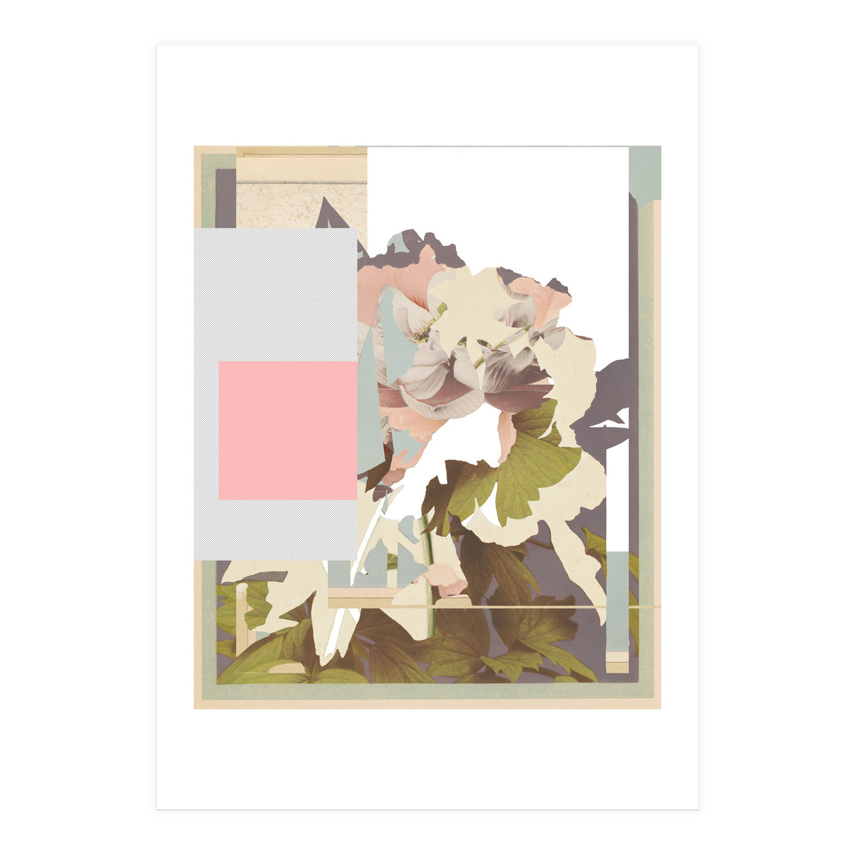 The First Plant · F (Print Only)