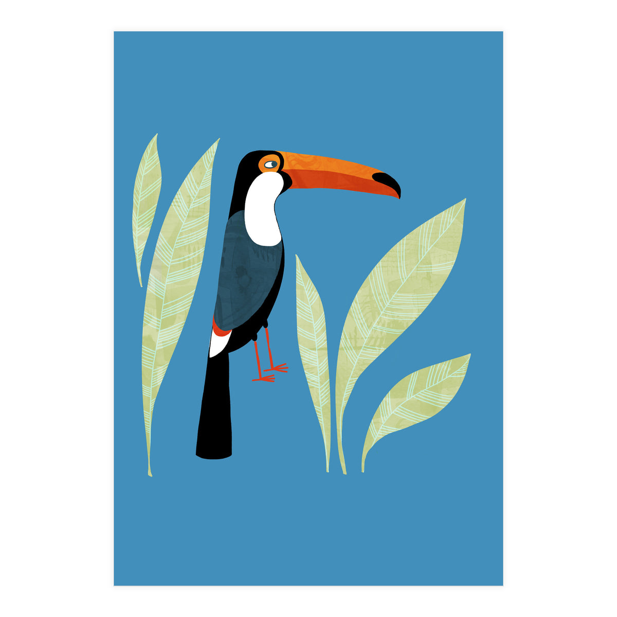 Toucan (Print Only)