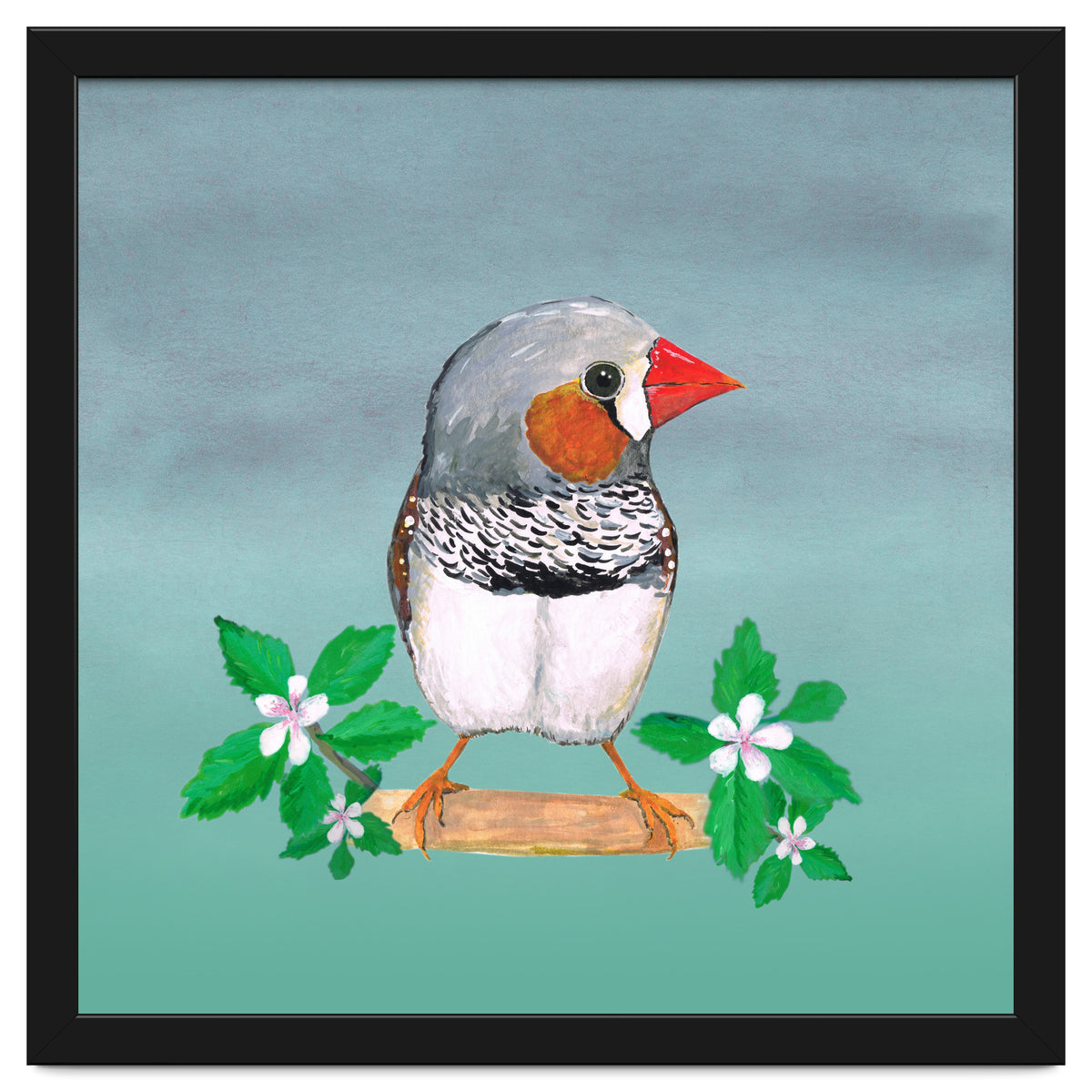 Zebra finch