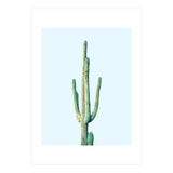 Loner Cactus (Print Only) thumbnail