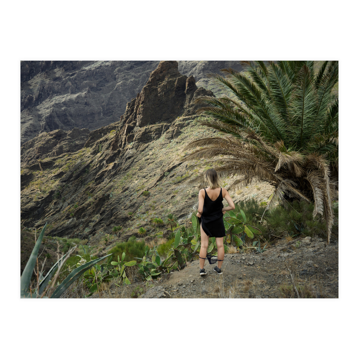 Where the F*** am I? (Print Only)