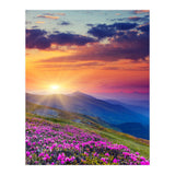 Nature (Print Only) thumbnail