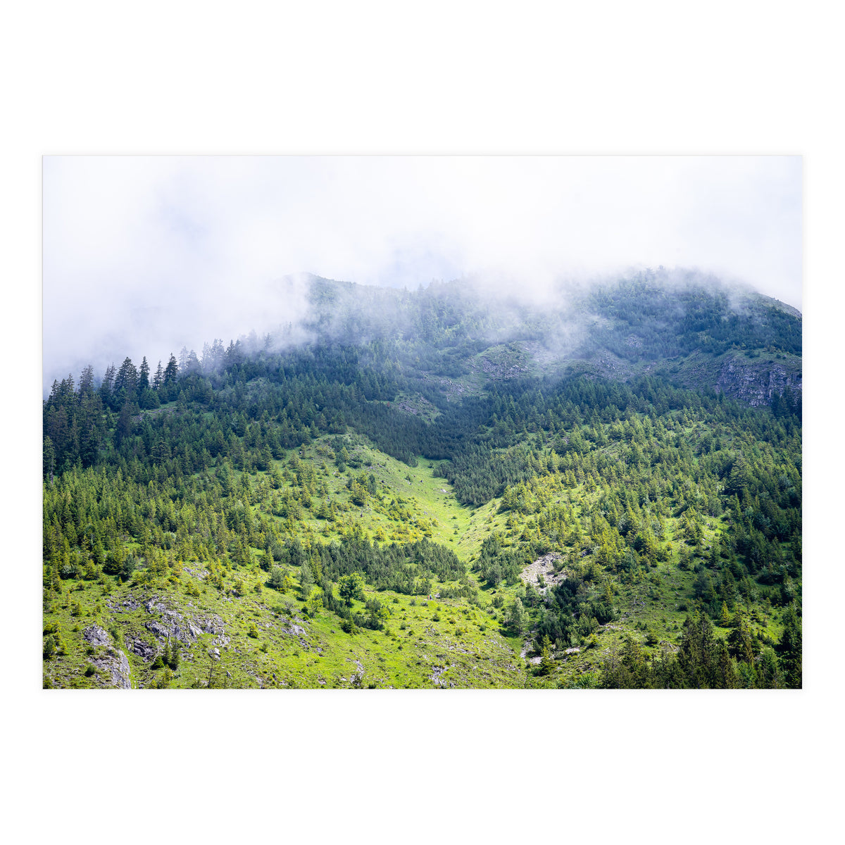 Ascension (Print Only)