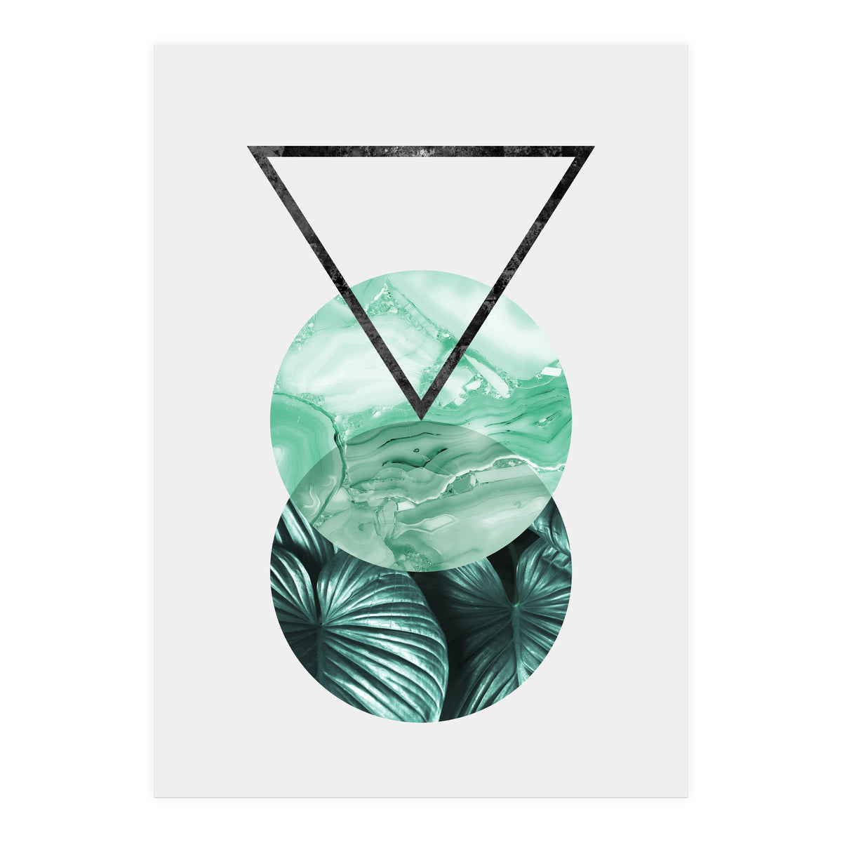 Botanical and geometric II (Print Only)