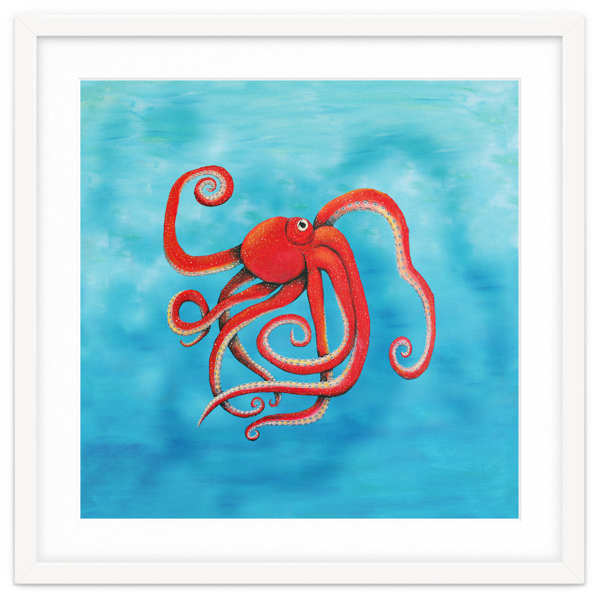 Octopus