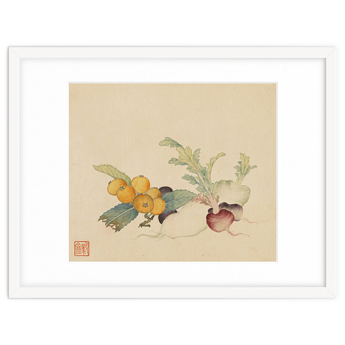 Wang Chengpi~flowers And Vegetables, Vegetables, Fruits, Loquat, White Radish, Carrot, Radish