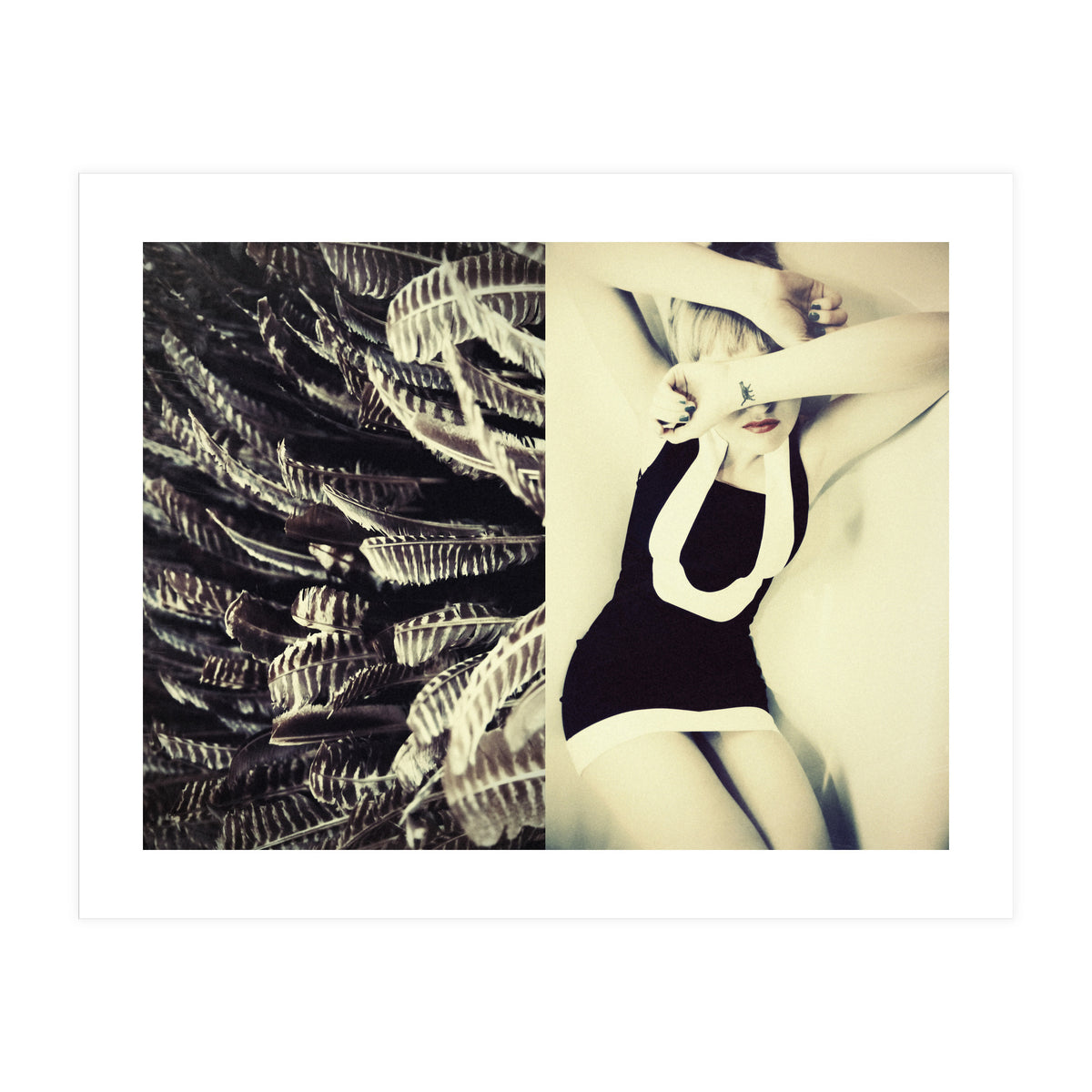 Featherish (Print Only)