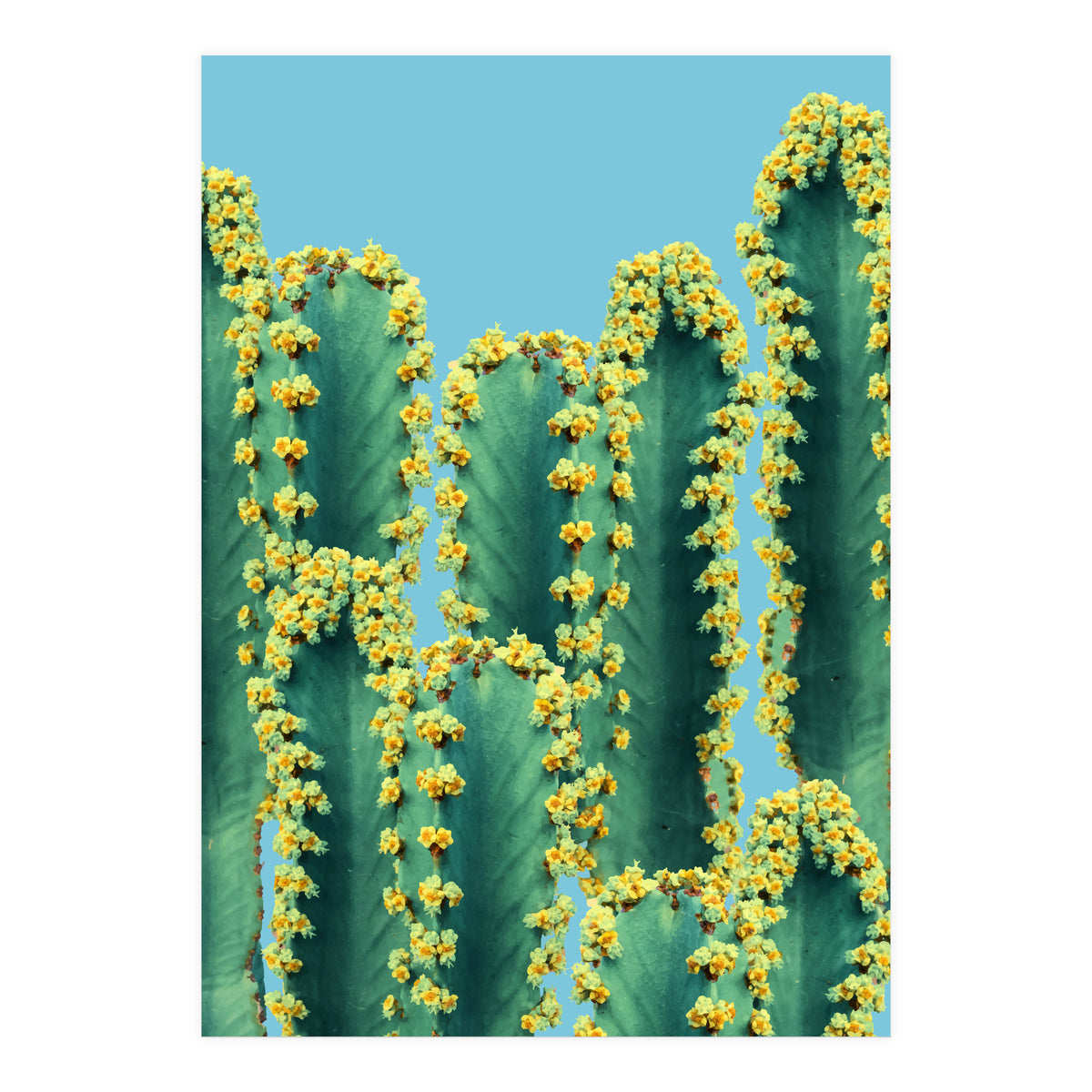 Adorned Cactus V2 (Print Only)