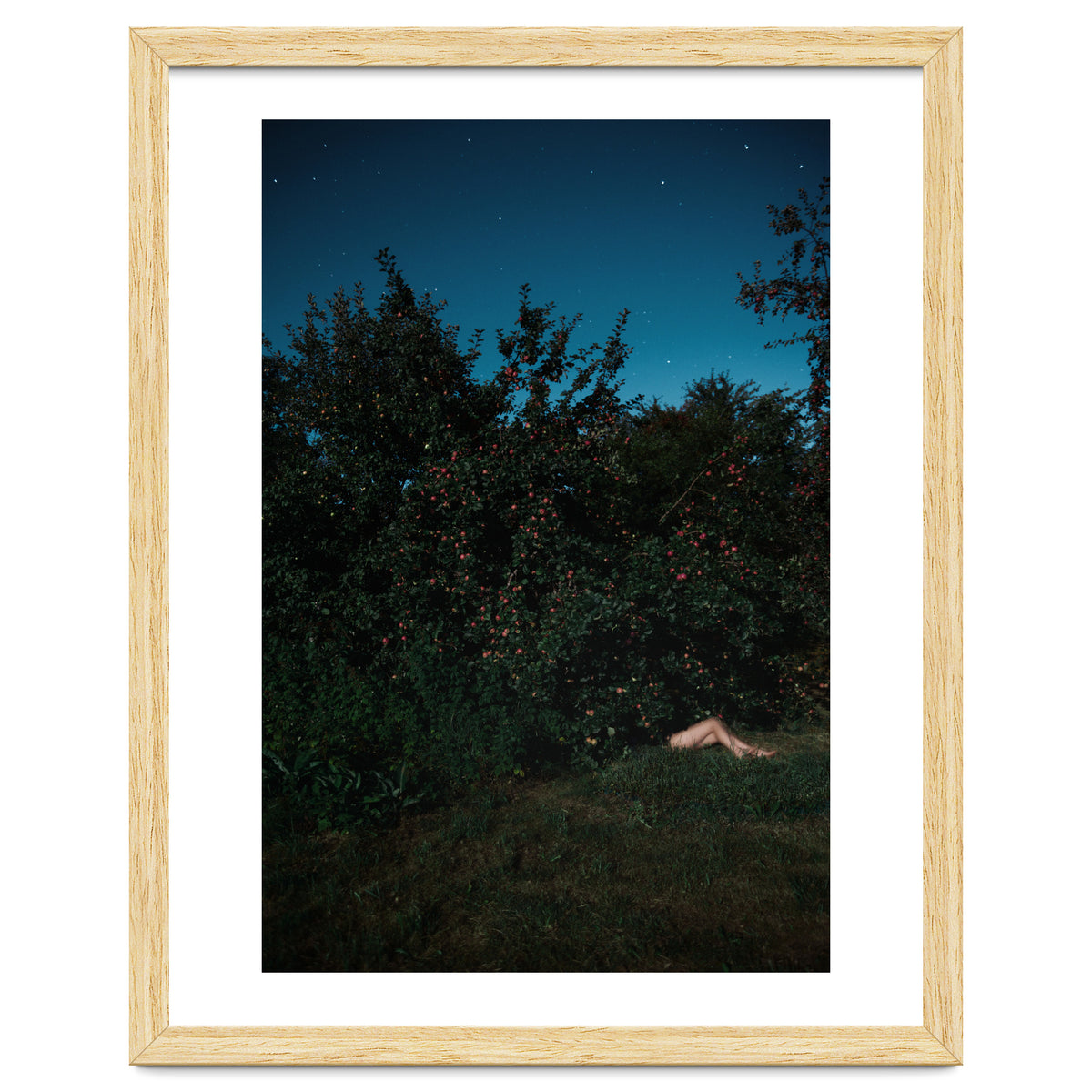 The Cider House Legs