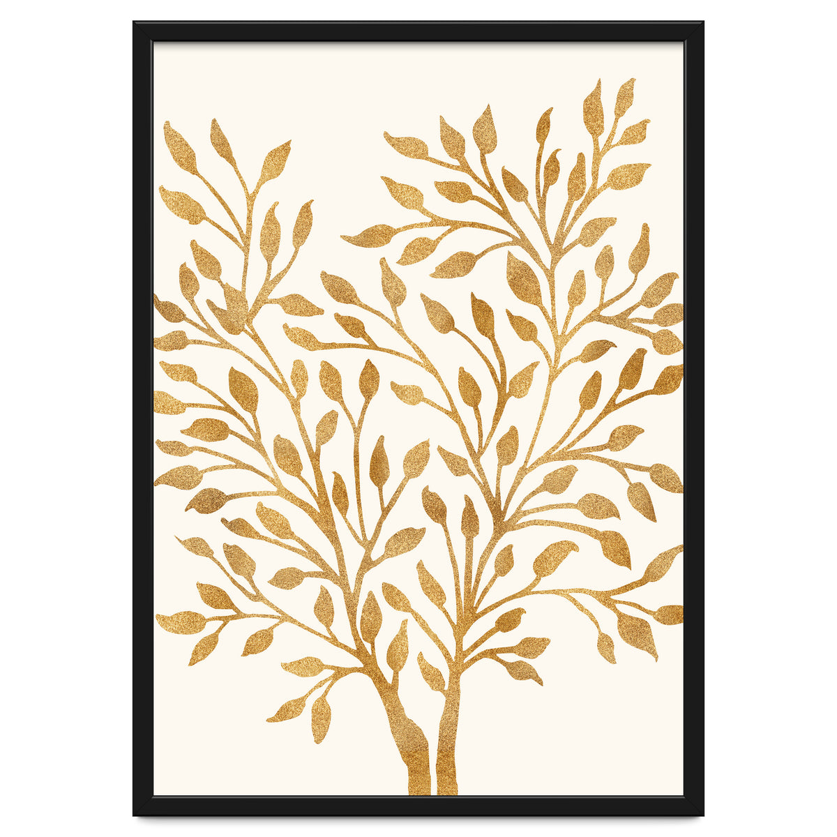 Golden Ficus 4x5