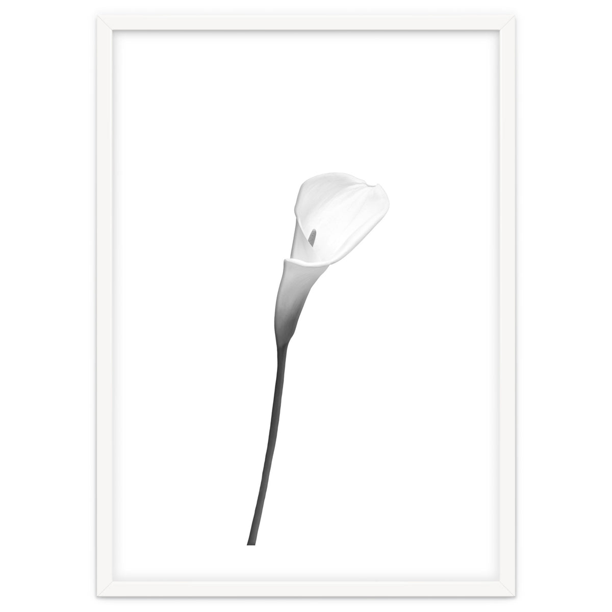 Calla | bright design