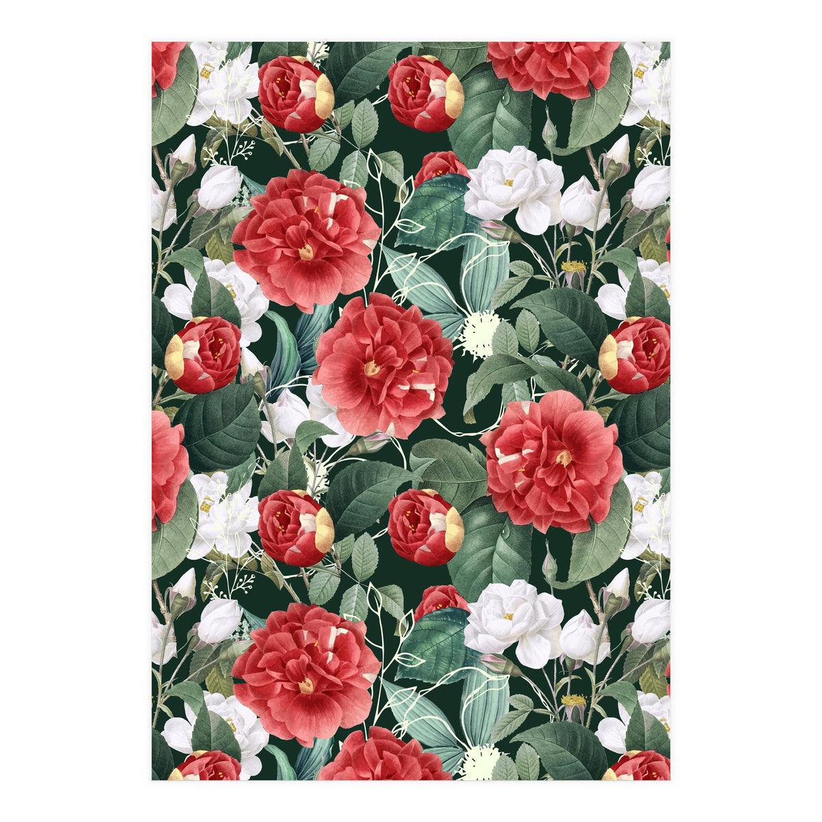 Botanical Wonder (Print Only)