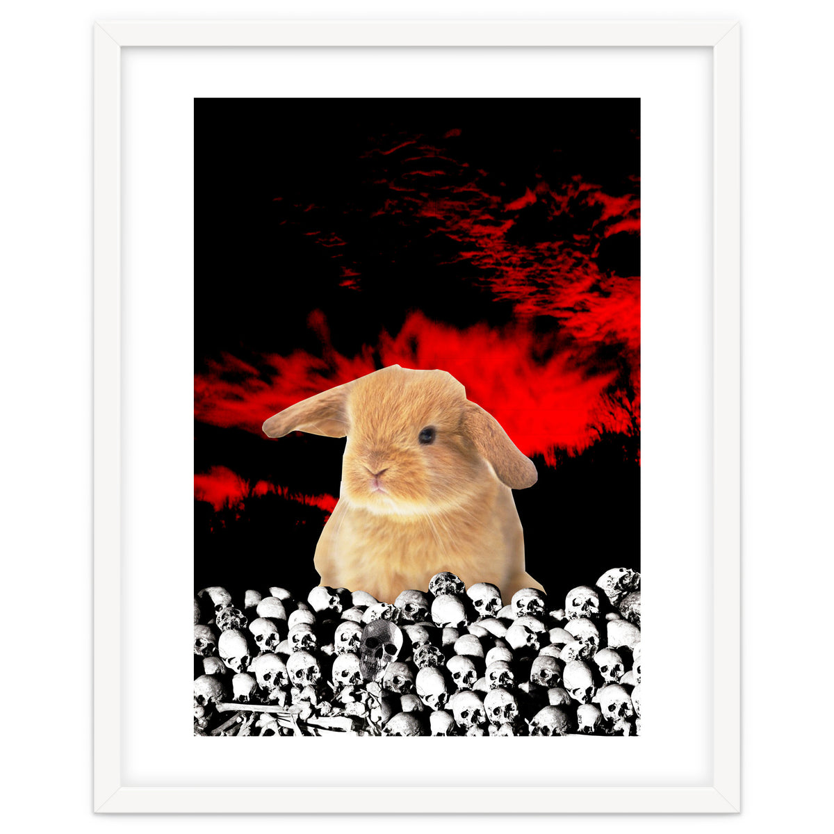 Bunny Of The Apocalypse