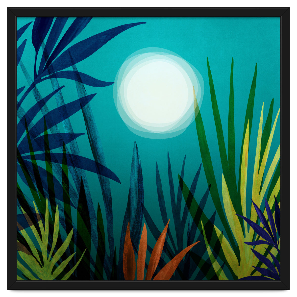 Midnight In The Jungle