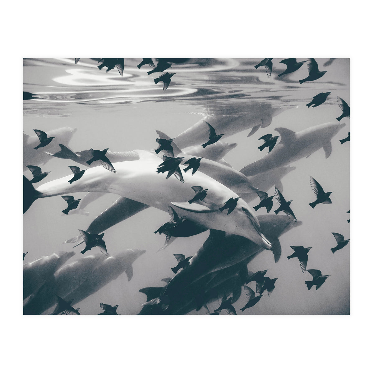 Found Out (Print Only)