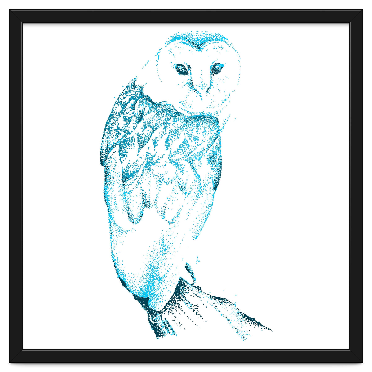 Barn Owl in Teal