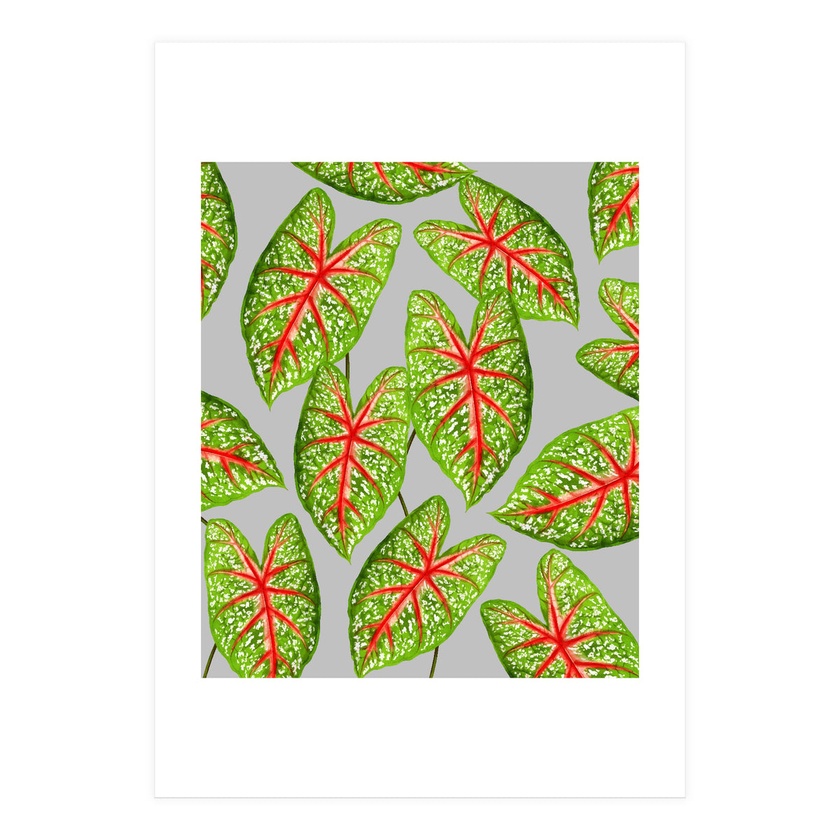 Expression Of Peace (Print Only)