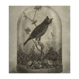 The Curiosity (Print Only) thumbnail