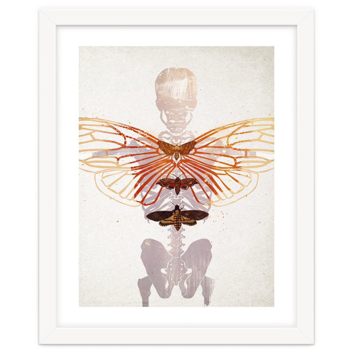 Ikarus - Like a Moth to the Flame