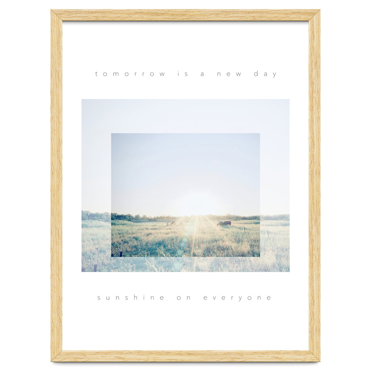 sunshine on everyone