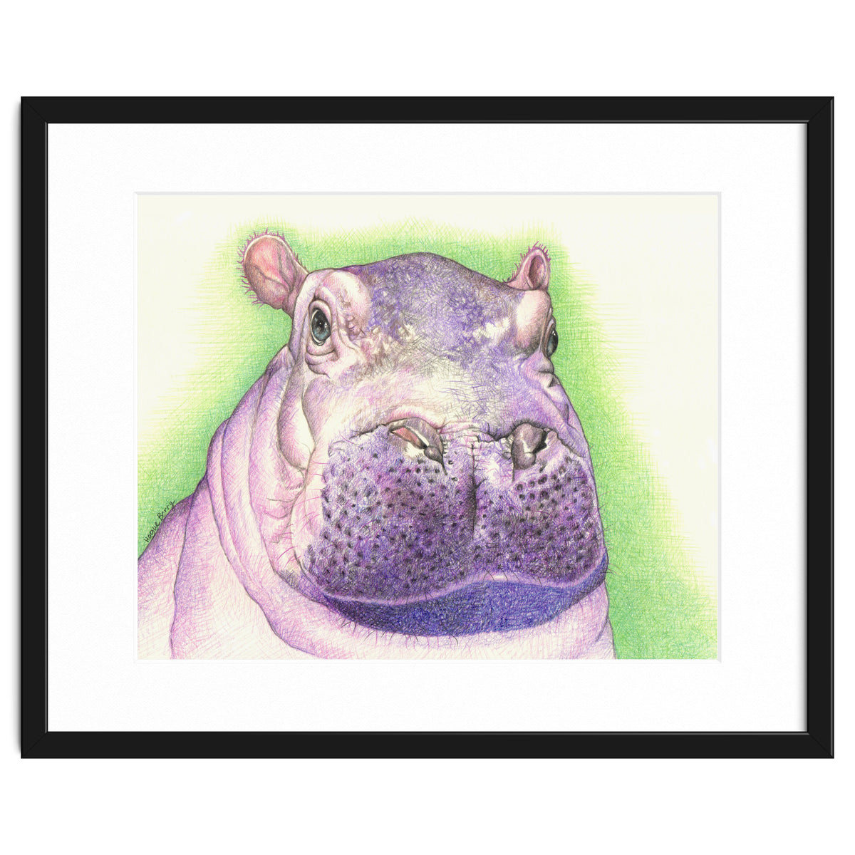 Purple Hippo