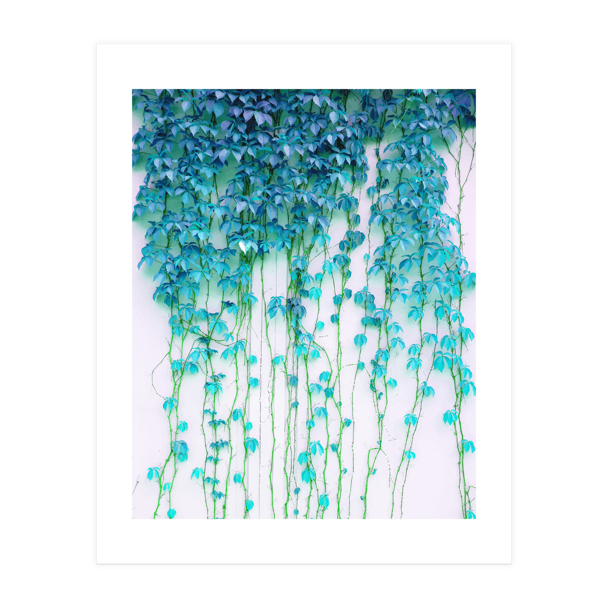 Average Absence, Botanical Minimal Nature Creepers Plants, Tropical Watercolor Bohemian Painting (Print Only)