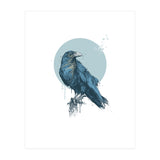 Blue Crow (Print Only) thumbnail