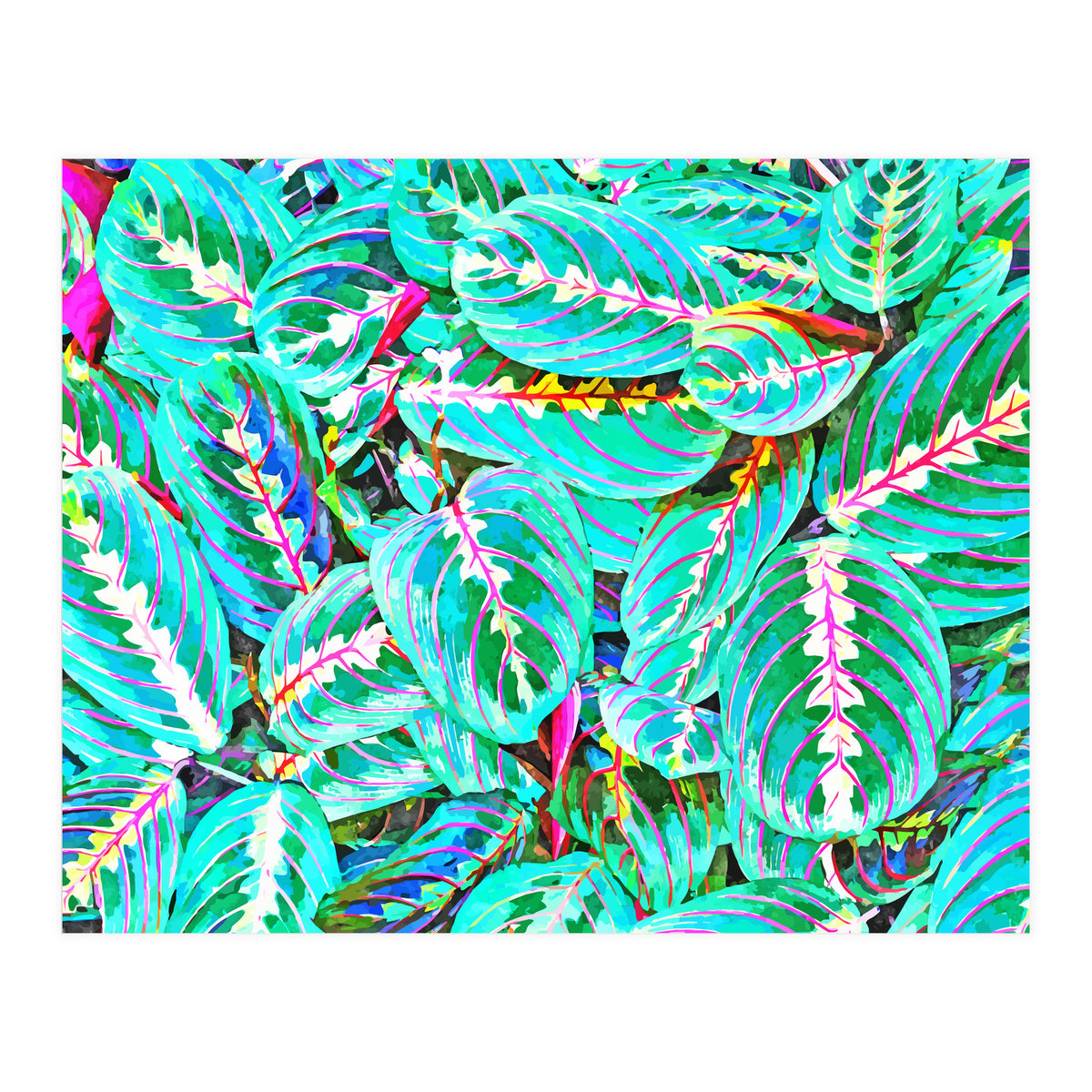 Let's find a beautiful place to get lost (Print Only)