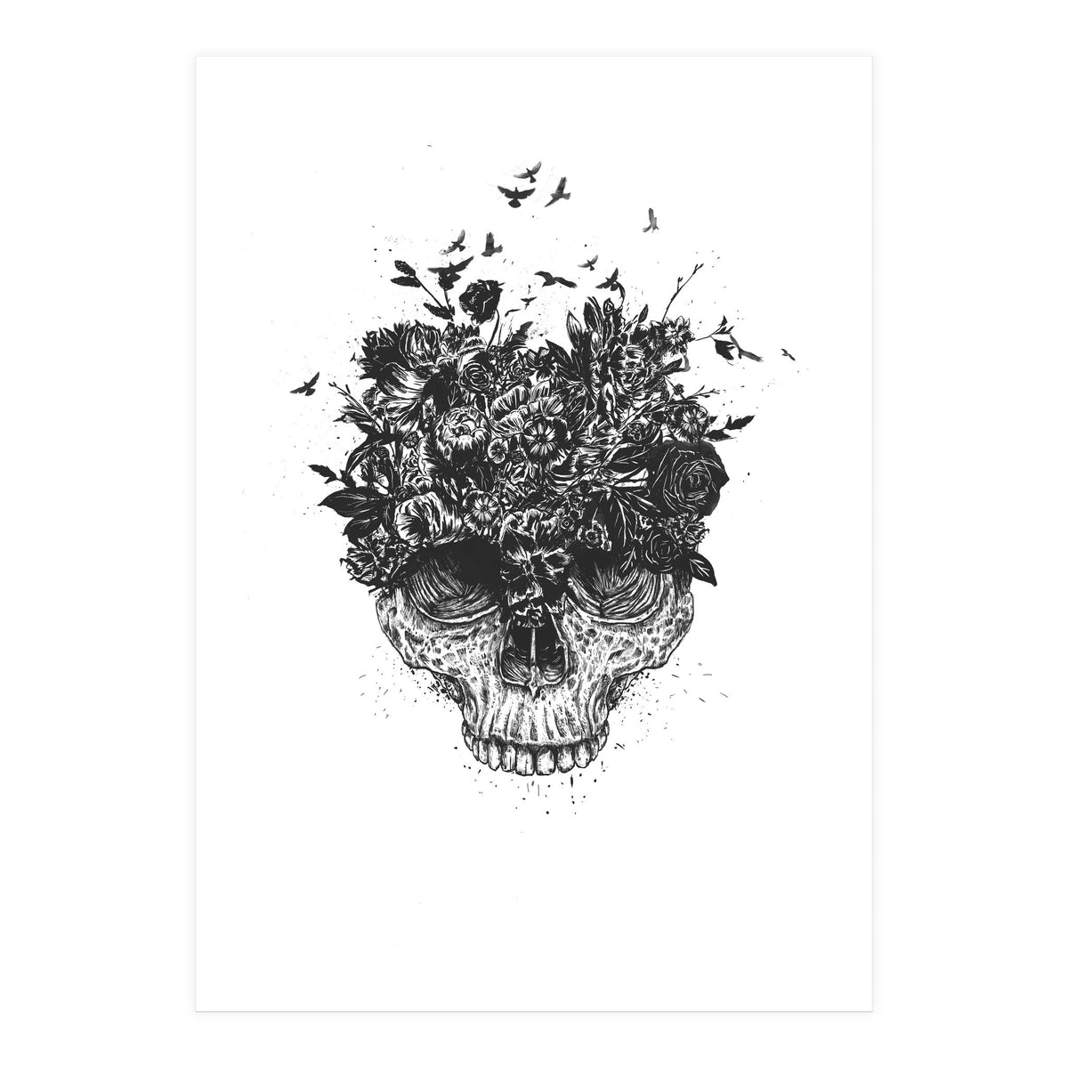 My Head Is A Jungle Bw (Print Only)