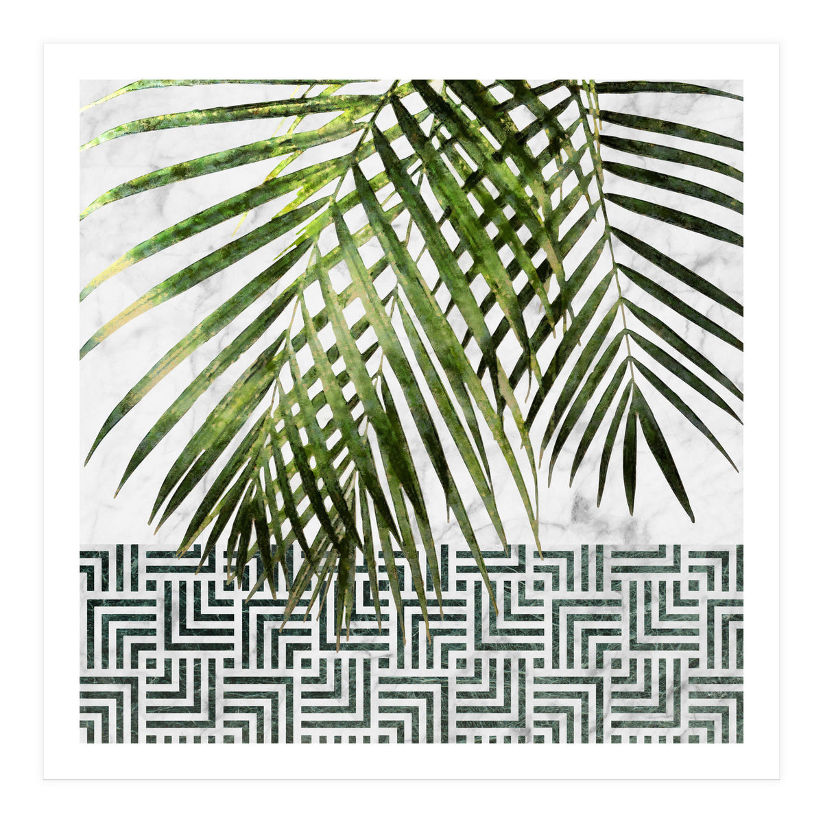 Palm Leaves On White Marble And Tiles (Print Only)