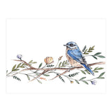 Bird on Branch (Print Only) thumbnail