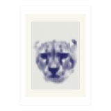 Lioness 2018 (Print Only) thumbnail