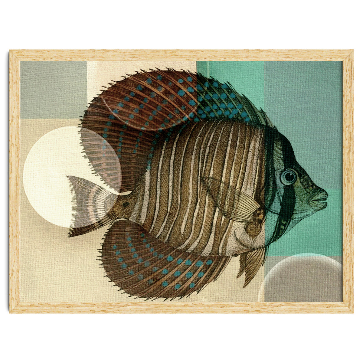 Fish Between Circles 4