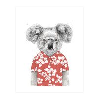 Summer Koala  (Print Only)