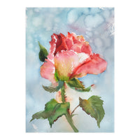 Beautiful Rose Watercolor (Print Only)