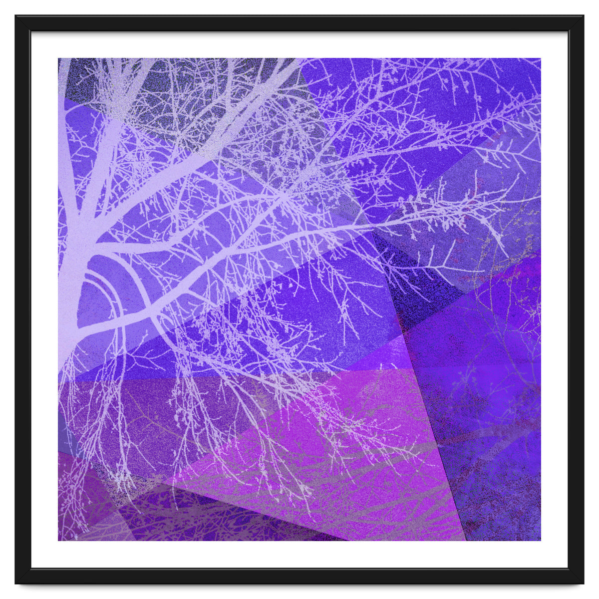 P19-D2 Trees and Triangles