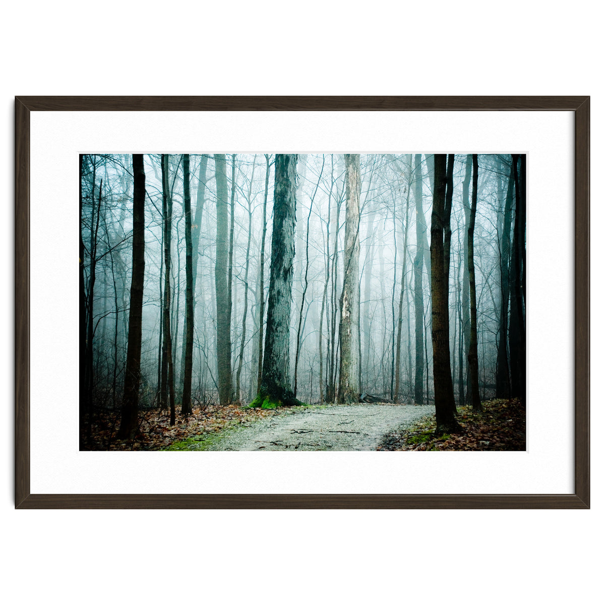 Gather Up Your Dreams