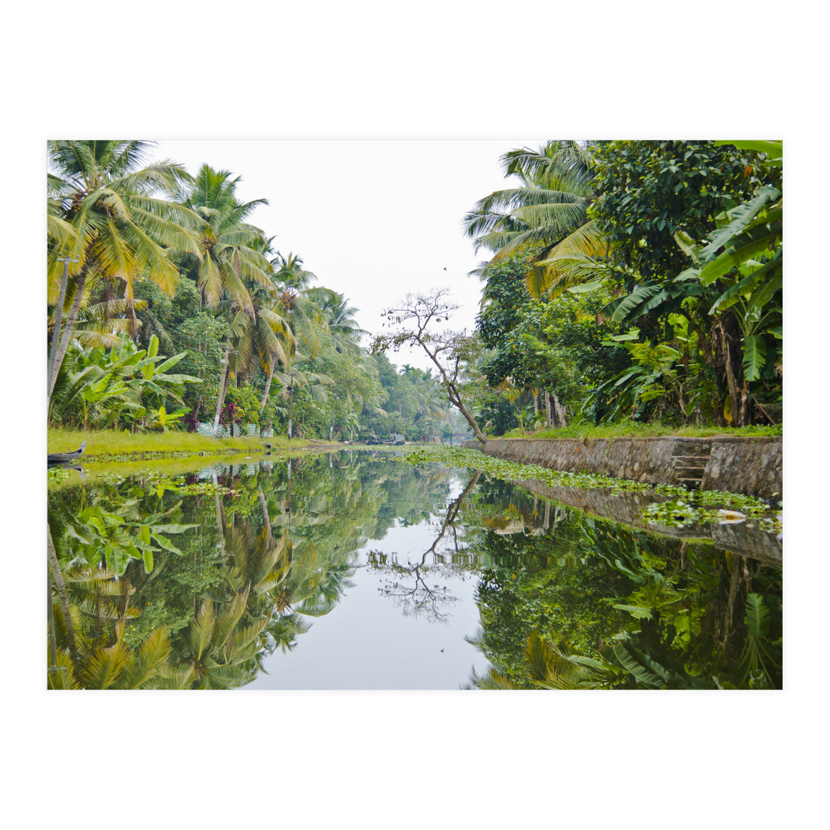 Allepey, India (Print Only)