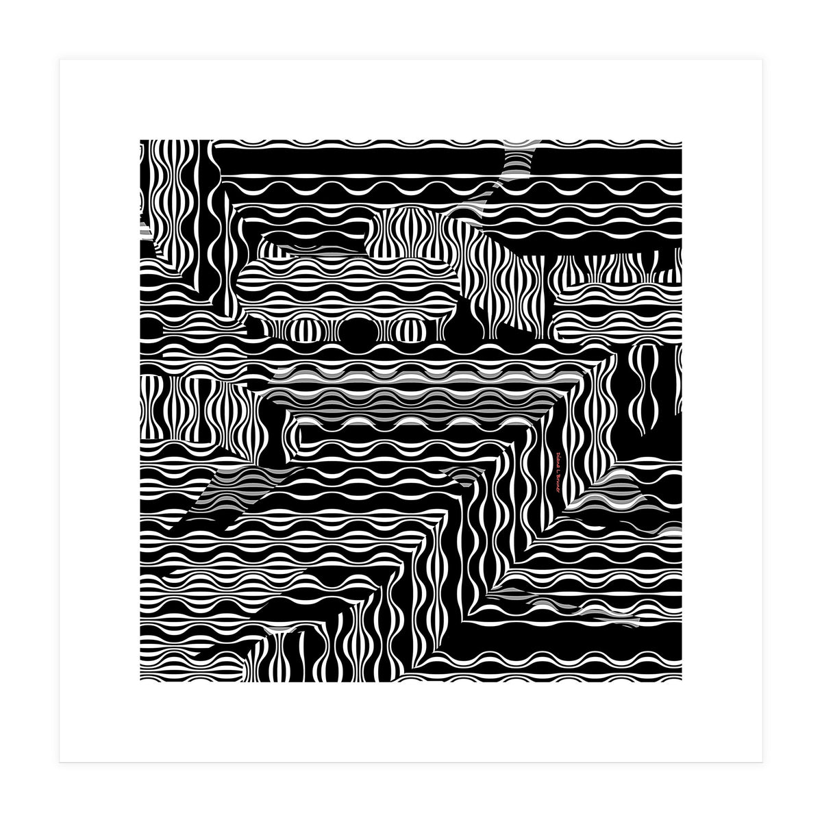 BLACK AND WHITE EXOTIC (Print Only)