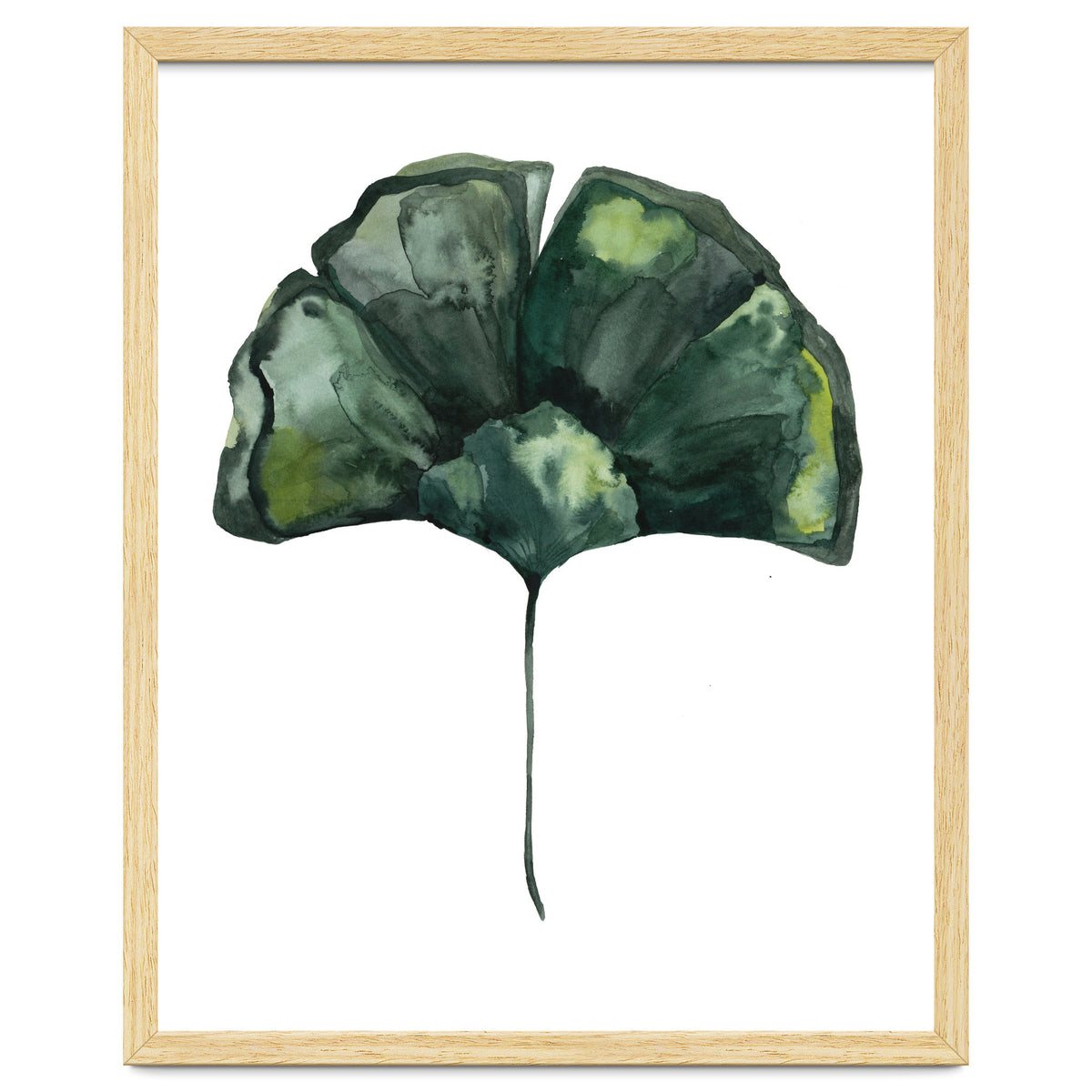 Botanical Illustration Ginko