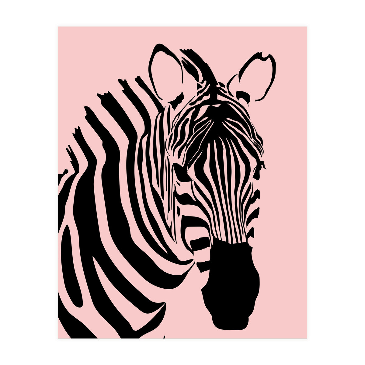 Zebra Stripes  (Print Only)