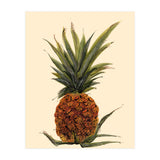 Pineapple (Print Only) thumbnail