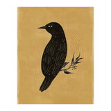Black Bird (Print Only) thumbnail