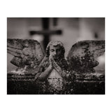 Winged Angel (Print Only) thumbnail