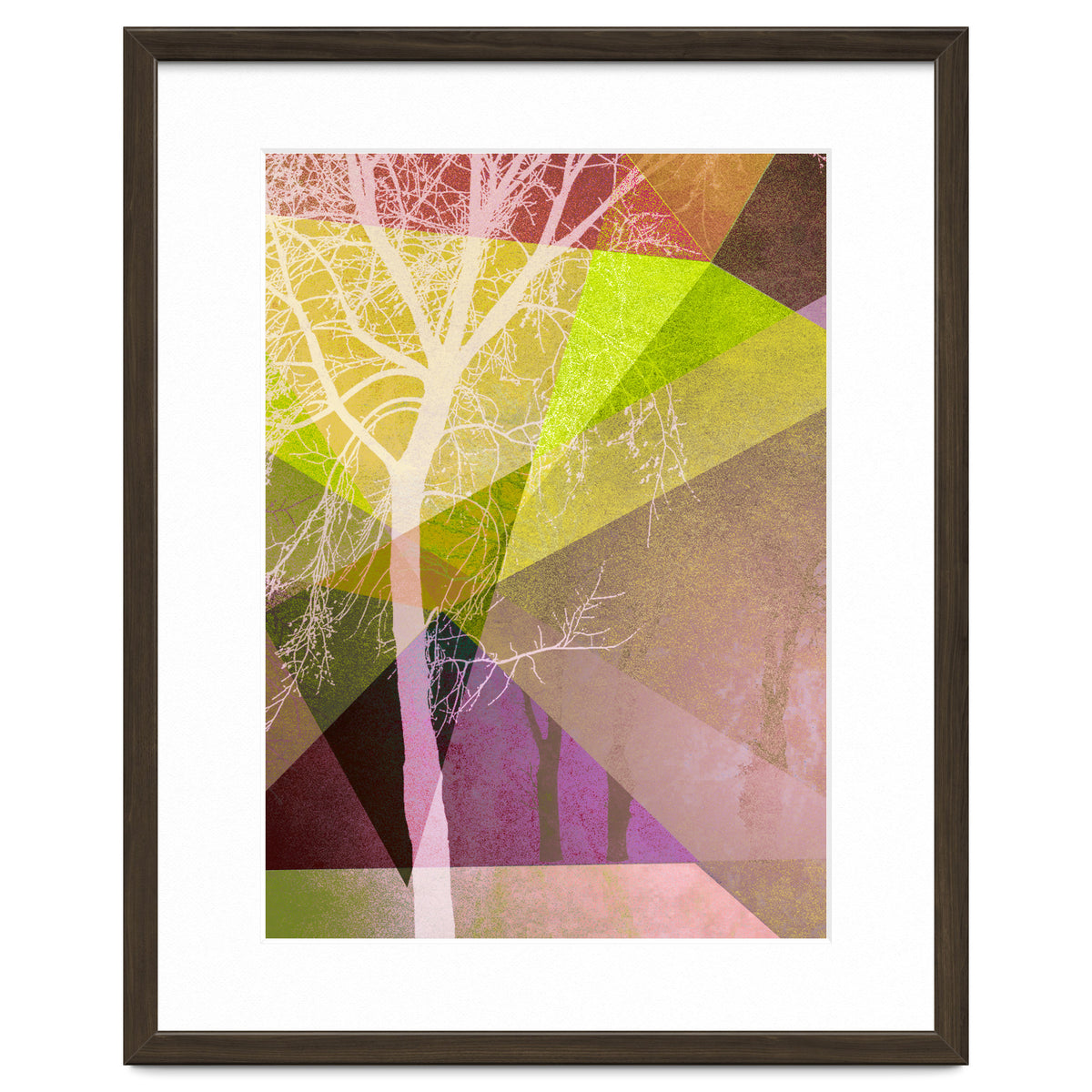 P22 Trees And Triangles