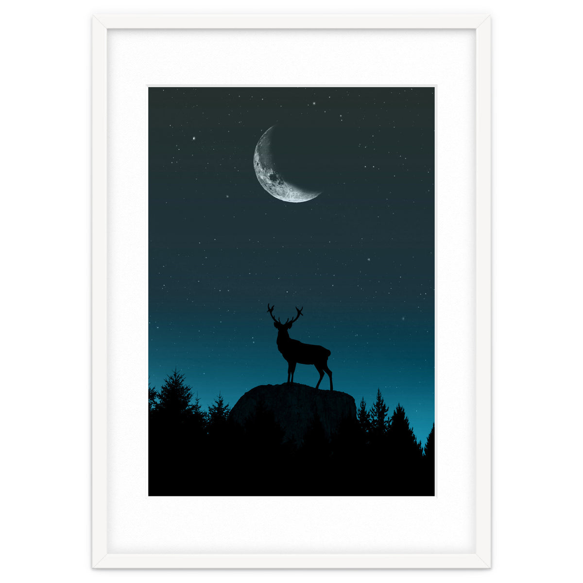 Wild Nature - Nocturne